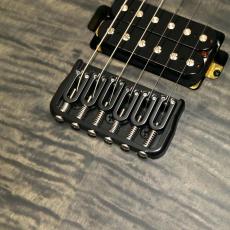 Balaguer Guitars Diablo Standard with Hipshot Hardtail Bridge, Satin Trans Black_7