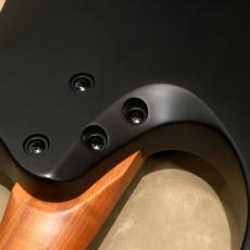 Balaguer Guitars Diablo Standard with Hipshot Hardtail Bridge, Satin Trans Black_10