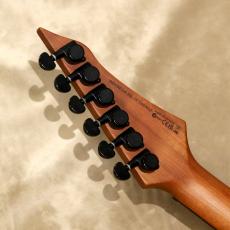 Balaguer Guitars Diablo Standard with Evertune Bridge, Satin Trans Black_5