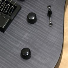 Balaguer Guitars Diablo Standard with Evertune Bridge, Satin Trans Black_8