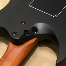 Balaguer Guitars Diablo Standard with Evertune Bridge, Satin Trans Black_10