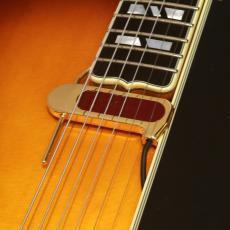 D'Angelico Excel Style B, Dark Iced Tea Burst_10