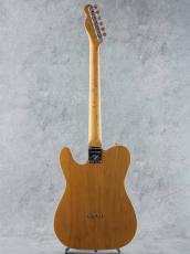 Fender Custom Shop Artisan Knotty Pine Tele Thinline Aged Natural 2024_5