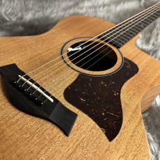 Taylor 24ce【現物画像】【最大36回分割無金利 実施中】_3