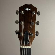 Taylor 24ce【現物画像】【最大36回分割無金利 実施中】_8