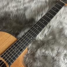 Taylor 24ce【現物画像】【最大36回分割無金利 実施中】_10