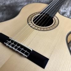 Martinez MP-14 Maple【現物画像】_3