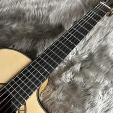 Martinez MP-14 Maple【現物画像】_10