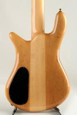 Spector EURO 5 LX Zebrawood Top_4