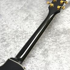 Edwards E-LP-CTM【BLCK】_9