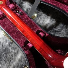 Gibson Doves in Flight Antique Natural_7