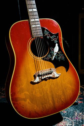 Gibson DOVE / 1968