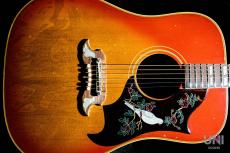 Gibson DOVE / 1968_3