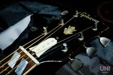 Gibson DOVE / 1968_4