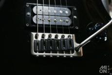 Paul Reed Smith [PRS] CE24 Mahogany Black 2005_6