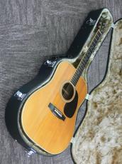 Aria Dreadnought D-60 by R.Matsuoka【1976年製】_12