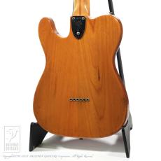 Fender Telecaster Thinline_4