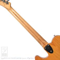 Fender Telecaster Thinline_6