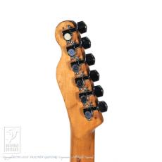 Fender Telecaster Thinline_8