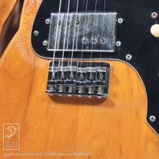 Fender Telecaster Thinline_10