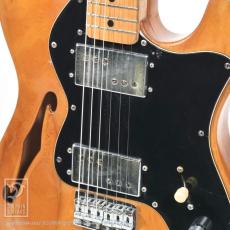 Fender Telecaster Thinline_11