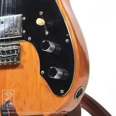 Fender Telecaster Thinline_12