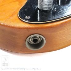 Fender Telecaster Thinline_14