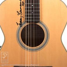 Maton MASTER BUILT - TE Personal_11