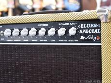 AKG Sound Design ~Custom Line~ Blues Special Reverb 22W Att Combo_7