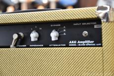 AKG Sound Design ~Custom Line~ Blues Special Reverb 22W Att Combo_9