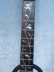 Ibanez j.custom RG8870 -Sodalite- RG Axe Design Lab  Made In Japan_7