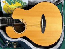 aNueNue aNN-M200_2