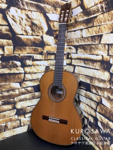 Paco Castillo パコ・カスティージョ 205C 杉・ローズウッド【日本総本店2F在庫品】