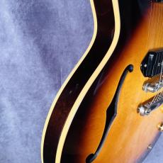 Gibson 2019 ES-335 DOT P-90_9