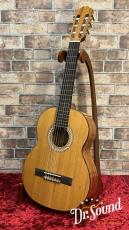 Orpheus Valley Guitars オルフェウス・ヴァレー・ギターズ Model:S53C_2
