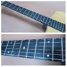 Cat's Eyes CE-800 / Mini flower pot Inlay・Solid Spruce Top・Solid Rosewood Back and Rosewood Side・Honduras Mahogany Neck・Ebony Fingerboard and Bridge・Slotted diamond Inlay・Herringbone・Tortoise Color Pick guard【Wi_9