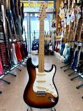 Fender Japan ST-STD_2