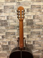 マルチネス　Martinez ハウザーモデル　Professional Monaco S(after Hauser)　美品中古_9