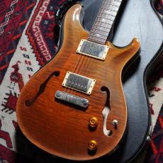 Paul Reed Smith [PRS] 2004 McCarty Hollowbody II 10top Tortoise Shell_2