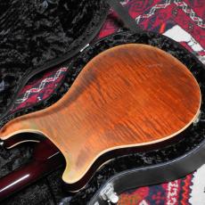Paul Reed Smith [PRS] 2004 McCarty Hollowbody II 10top Tortoise Shell_5