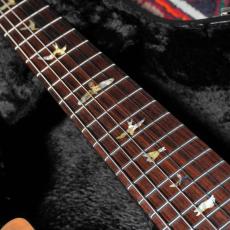 Paul Reed Smith [PRS] 2004 McCarty Hollowbody II 10top Tortoise Shell_6