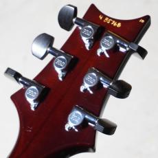 Paul Reed Smith [PRS] 2004 McCarty Hollowbody II 10top Tortoise Shell_9