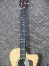 Headway HOC-Kingfisher NA_9