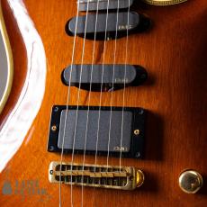 Valley Arts Japan Larry Carlton Signature LC298_4