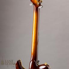 Valley Arts Japan Larry Carlton Signature LC298_8