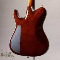Valley Arts Japan Larry Carlton Signature LC298_9