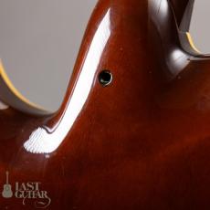 Valley Arts Japan Larry Carlton Signature LC298_10