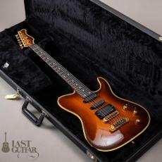 Valley Arts Japan Larry Carlton Signature LC298_13