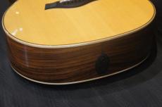 Taylor 814ce V-Class_8