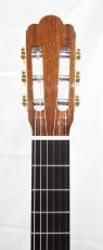西野 春平 NR-3 Spruce・650_9